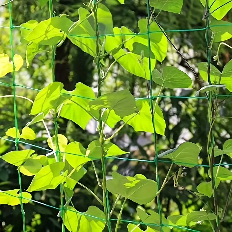 Vibrant Sky Blue Heavy-Duty Garden Trellis Netting - Easy Installation, Maximum Space Utilization for Climbing Plants & Vines, Boosts Air Circulation, Perfect for Outdoor Gardening, Climbing Plants Support | Vibrant Garden De