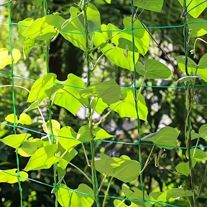 Vibrant Sky Blue Heavy-Duty Garden Trellis Netting - Easy Installation, Maximum Space Utilization for Climbing Plants & Vines, Boosts Air Circulation, Perfect for Outdoor Gardening, Climbing Plants Support | Vibrant Garden De