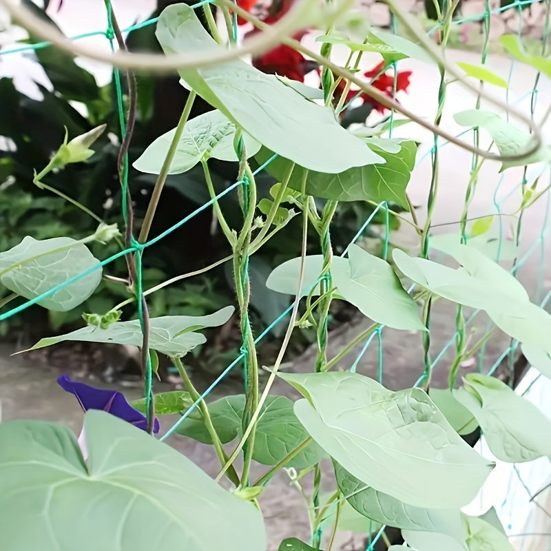 Vibrant Sky Blue Heavy-Duty Garden Trellis Netting - Easy Installation, Maximum Space Utilization for Climbing Plants & Vines, Boosts Air Circulation, Perfect for Outdoor Gardening, Climbing Plants Support | Vibrant Garden De