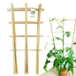 10 Pack Bamboo Trellis For Climbing Plants, 16 Inch Natural Garden Fan-shaped Plant Support Bracket, Suitable For Potted Plant D