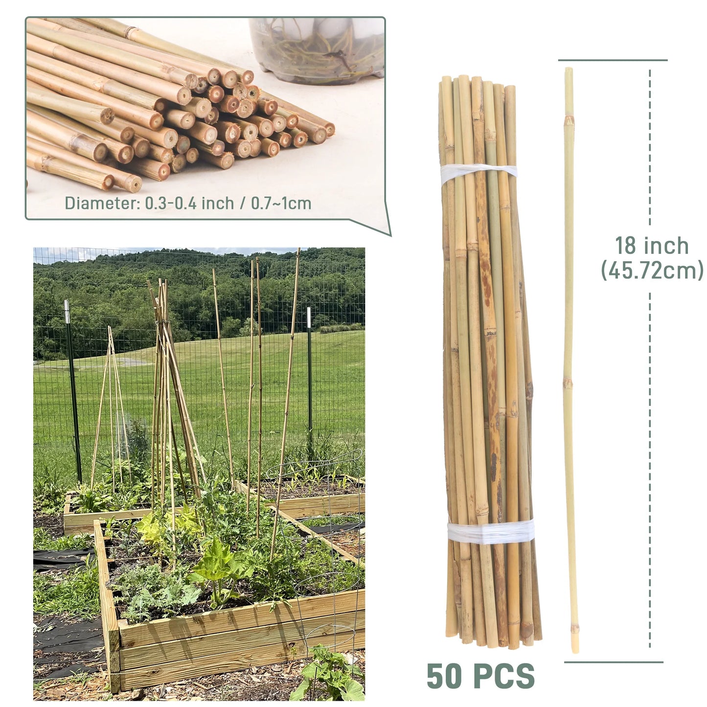 50‑Pack 18" Bamboo Plant Stakes – Indoor/Outdoor Garden Support Sticks