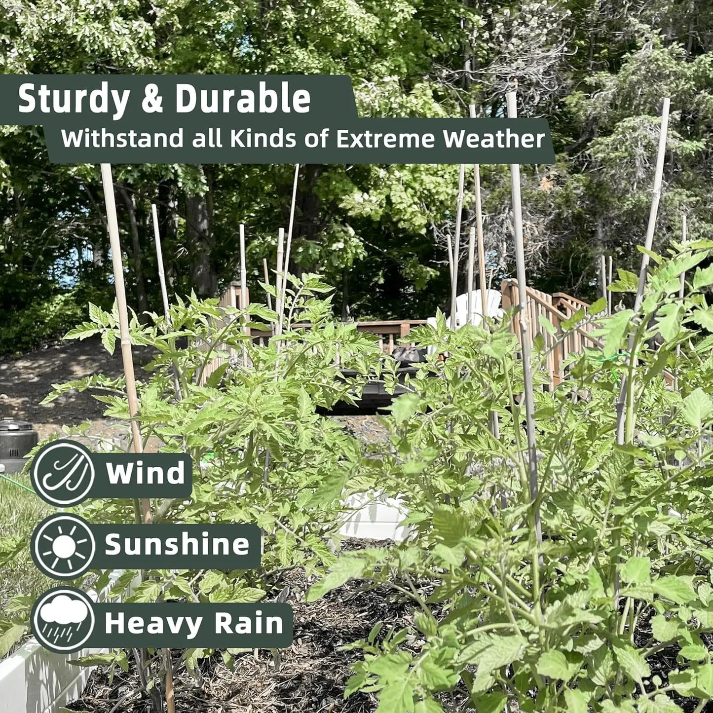 50‑Pack 18" Bamboo Plant Stakes – Indoor/Outdoor Garden Support Sticks