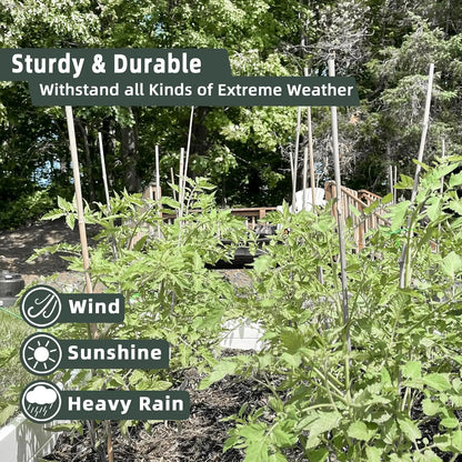 50‑Pack 18" Bamboo Plant Stakes – Indoor/Outdoor Garden Support Sticks