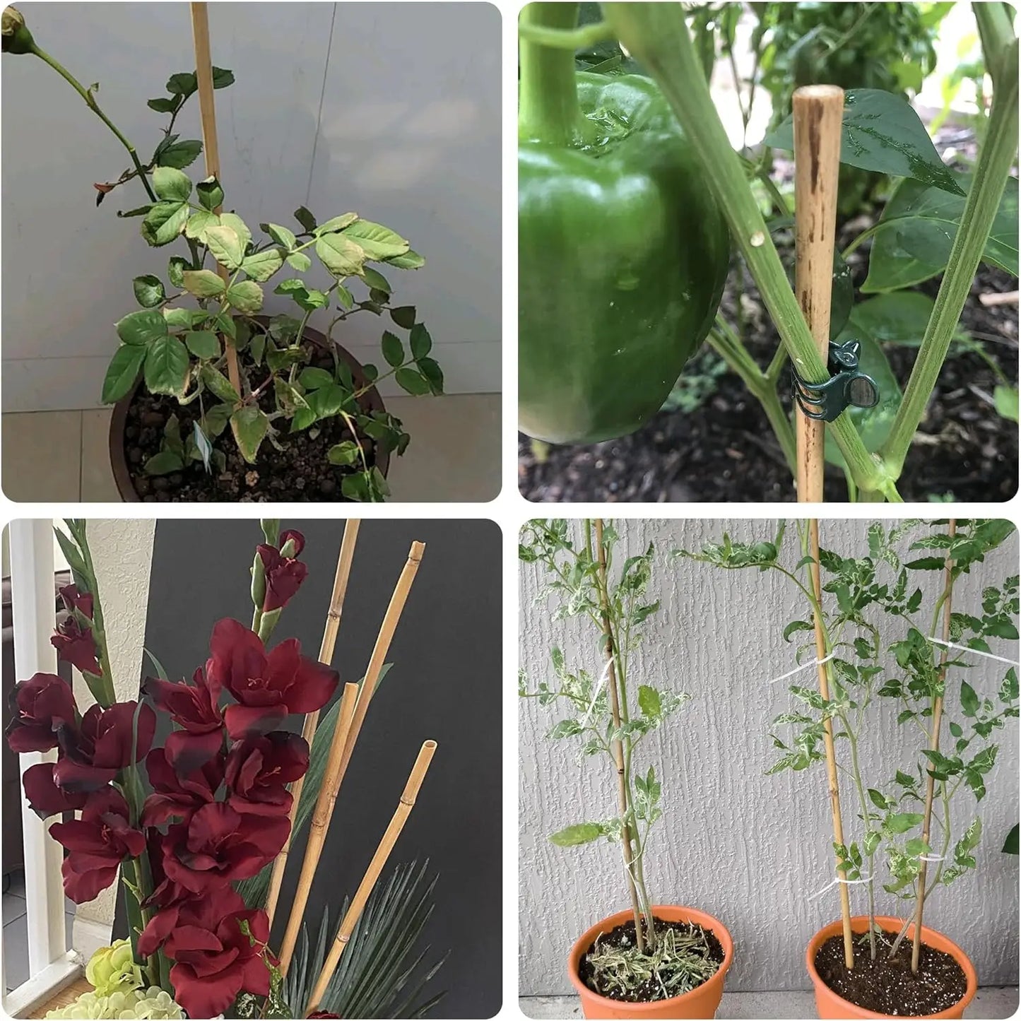50‑Pack 18" Bamboo Plant Stakes – Indoor/Outdoor Garden Support Sticks