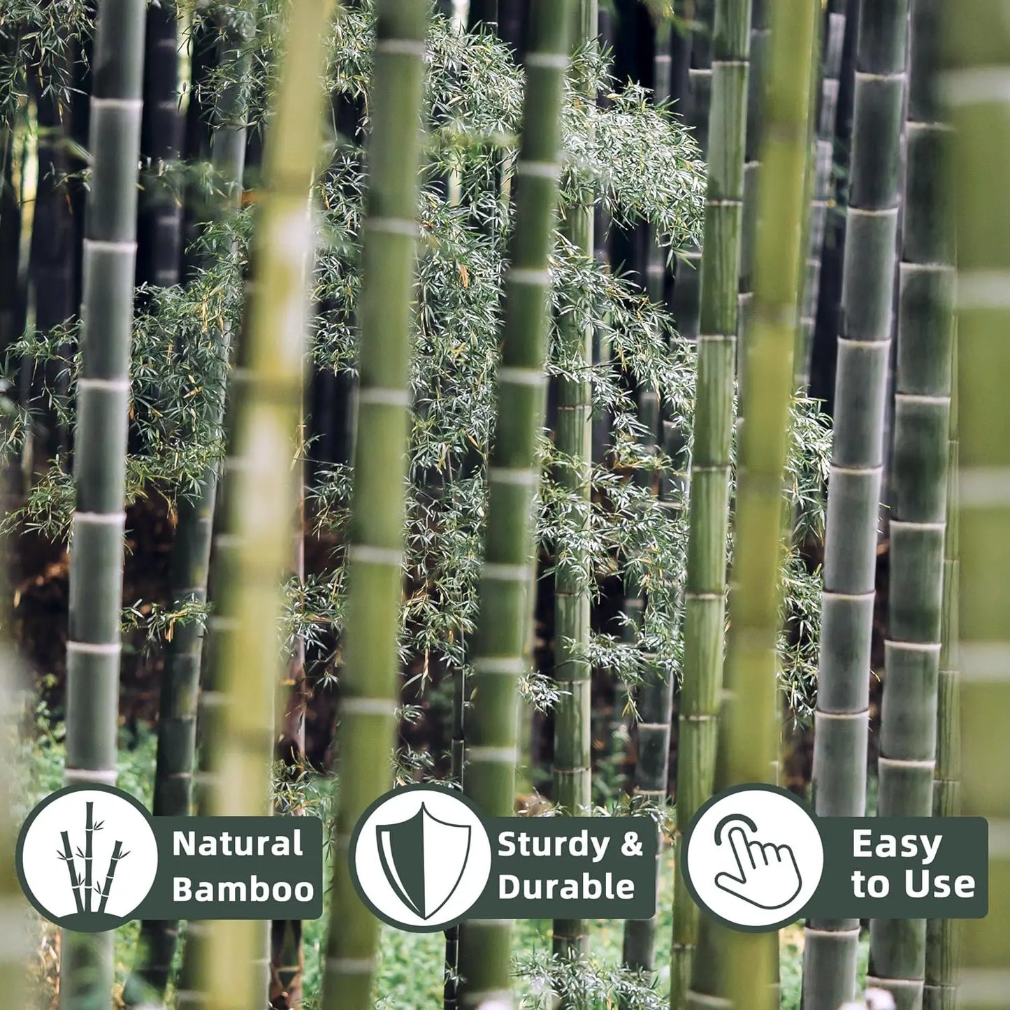 50‑Pack 18" Bamboo Plant Stakes – Indoor/Outdoor Garden Support Sticks