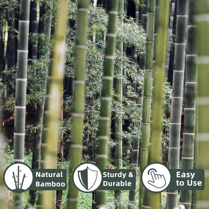 50‑Pack 18" Bamboo Plant Stakes – Indoor/Outdoor Garden Support Sticks