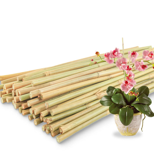 50‑Pack 18" Bamboo Plant Stakes – Indoor/Outdoor Garden Support Sticks