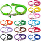 Dog Cat Adjustable Leash  and Collar 24Sets