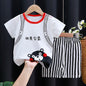 Kids Clothes Set Baby Boy/Girl T-Shirt + Shorts Summer Clothing
