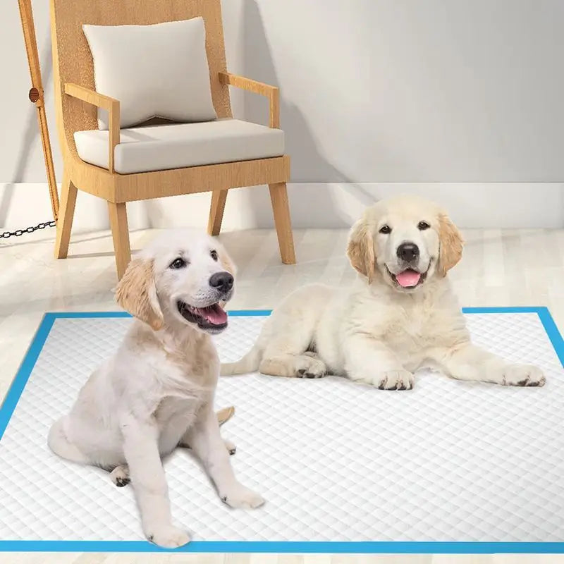 1Pack/20/40/50/100Pcs Super Absorbent Pet Diaper Dog Training Pee Pads Disposable Mat Cat Dog Diapers Quick-dry Surface Mat