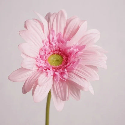 Artificial Gerbera Real Touch Cloth Flowers Home Living Room Decoration Simulation Chrysanthemum Fake Flower Wedding Floral