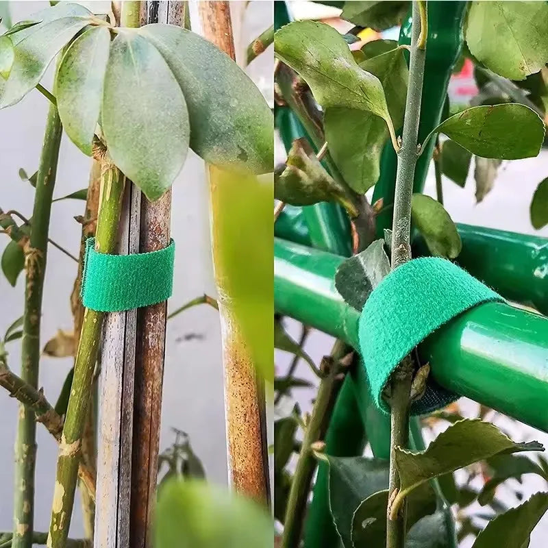 3 Rolls Green Garden Twine Plant Ties Nylon Plant Bandage 3 Meters Garden Hook Loop Bamboo Cane Wrap Support Garden Accessories