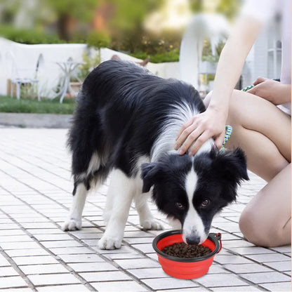 Pet Portable Collapsible Silicone Water Bowl