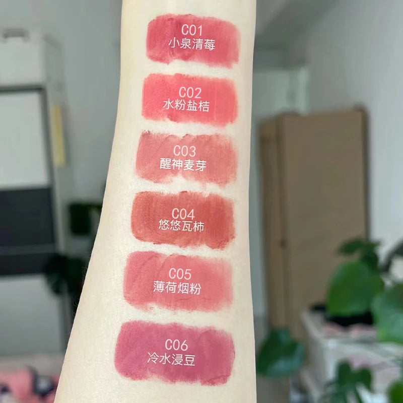 6 Colors Long-Lasting Matte Liquid Lip Gloss with Soft Velvet Finish and Waterproof Formula Lip Clay Lip Glaze Gift Makeup
