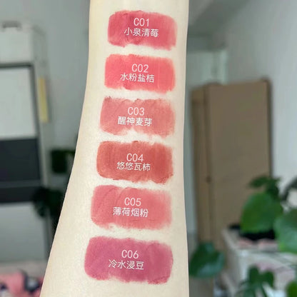 6 Colors Long-Lasting Matte Liquid Lip Gloss with Soft Velvet Finish and Waterproof Formula Lip Clay Lip Glaze Gift Makeup