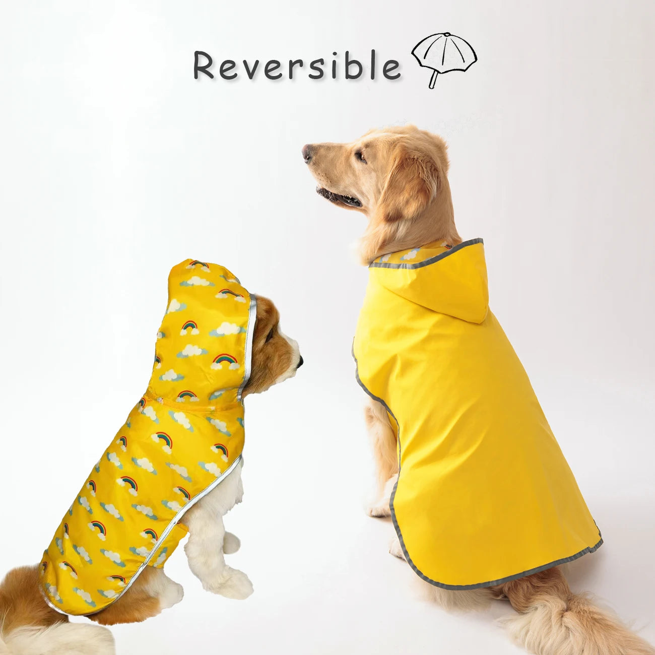 Stylish Double-Layer Raincoat with Two-Way Wear!