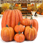 Simulation Pumpkin Ornaments Set Handicraft Pumpkin Shape Ornaments for Living Room Cabinet Decoration