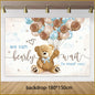 Teddy Bear Birthday Party Disposable Supplies