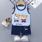 Casual Baby Boy Short Sleeve Sports T-shirt and  Shorts Set