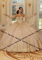 Princess Quinceañera Ball Gown – Lace Appliques, Glitter Tulle & Detachable Sleeves