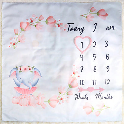 Baby Monthly Milestone Blanket