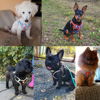 Adjustable Breathable Reflective Dog Harness