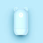 Data Guard Anti-theft Protection Roller Stamp