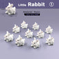 10Pcs Easter Rabbit Dinosaurs Capybara Duck Fox Pig Cat Turtle Frog Bird Figurine Miniature Fairy Garden Decoration Accessories