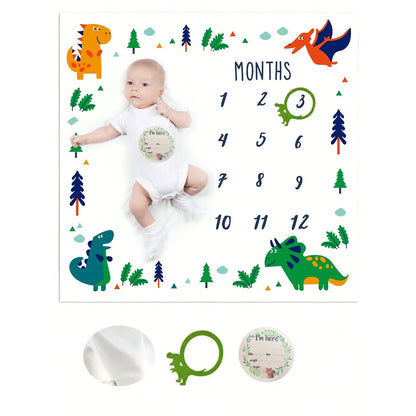 Baby Monthly Milestone Blanket