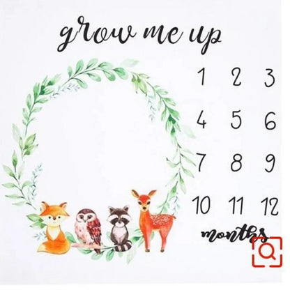 Newborn Baby Background Photo Props Milestone Calendar Blankets