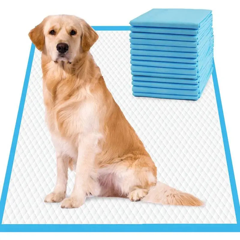 1Pack/20/40/50/100Pcs Super Absorbent Pet Diaper Dog Training Pee Pads Disposable Mat Cat Dog Diapers Quick-dry Surface Mat