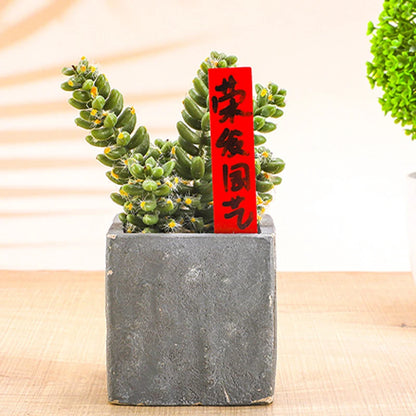 100pcs Garden Plant Labels Plastic Waterproof Horticultural Labels Plant Accessories DIY Garden Decorating Tool Plant Small Sign