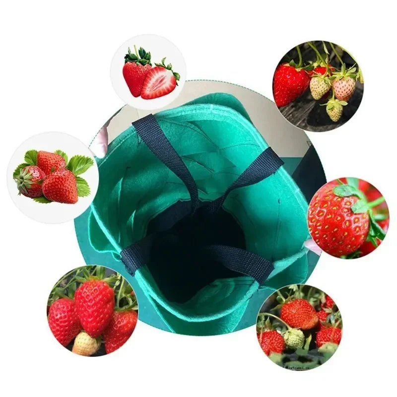 Plastic Strawberry Planting Bag Plant Grow Hanging Bag Garden Supplies 2024