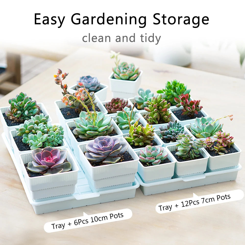 Meshpot Square Succulents Planter Pots With Tray Set,Nursery Pot Cactus Plant Pot Garden Plastic Pot Multi Size