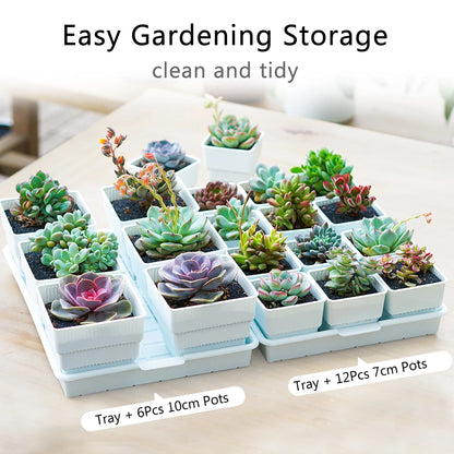 Meshpot Square Succulents Planter Pots With Tray Set,Nursery Pot Cactus Plant Pot Garden Plastic Pot Multi Size