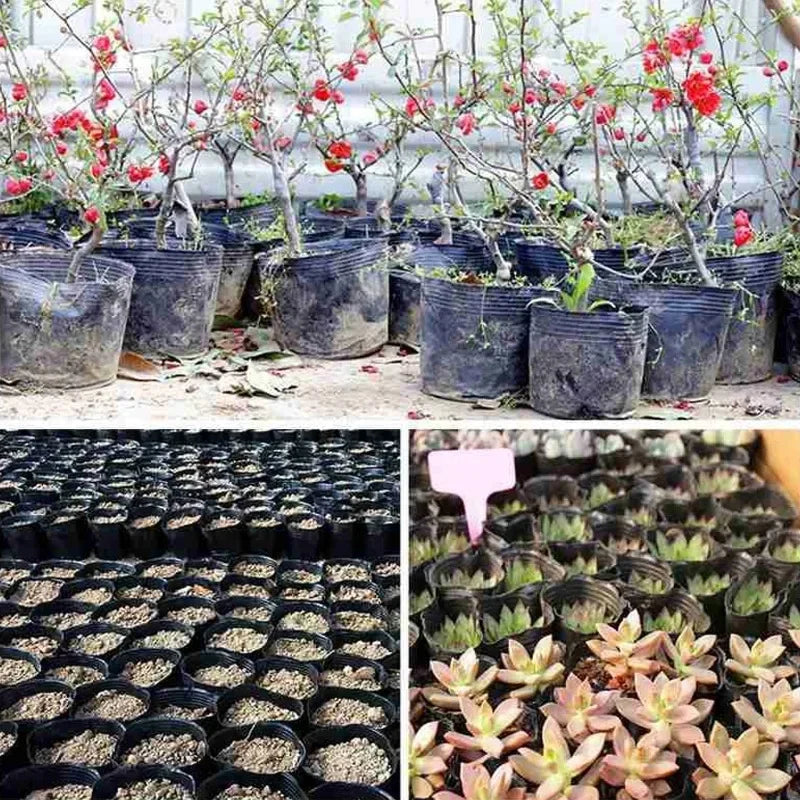 50/200pcs Black Seedling Nursery Pots Seed Starting Grow Cup Flower Plant Container Garden Vegetable Box Home Gardening Tools