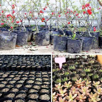 50/200pcs Black Seedling Nursery Pots Seed Starting Grow Cup Flower Plant Container Garden Vegetable Box Home Gardening Tools