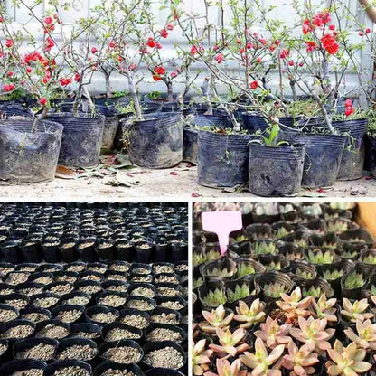 Thickened Seedling Nursery Pots Reusable Plant Starter Cups for Household Garden Vegetable Flower Herb Planting Cultivation Bags