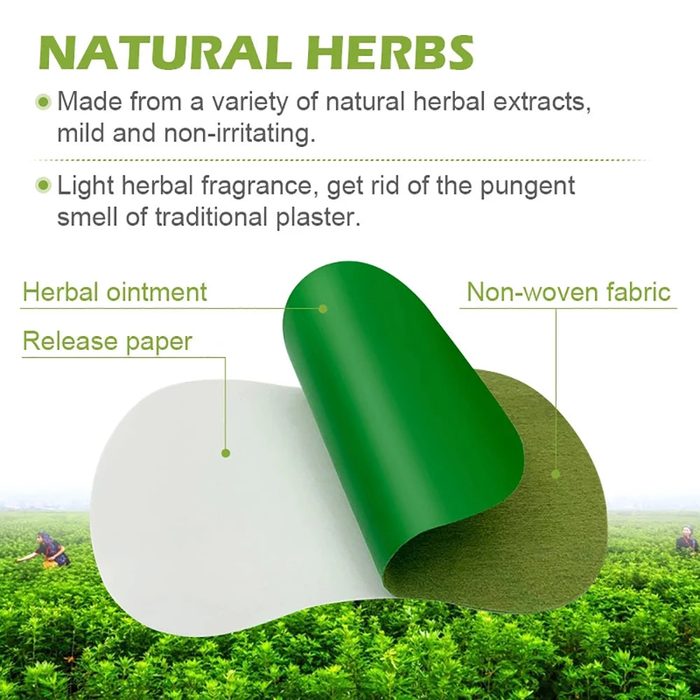 12/24PCS Herbal Detox Foot Patches – Natural Wormwood Pads for Stress Relief & Body Cleansing